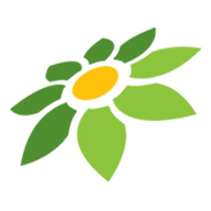 TOKOPEDIA BISA PAYLATER